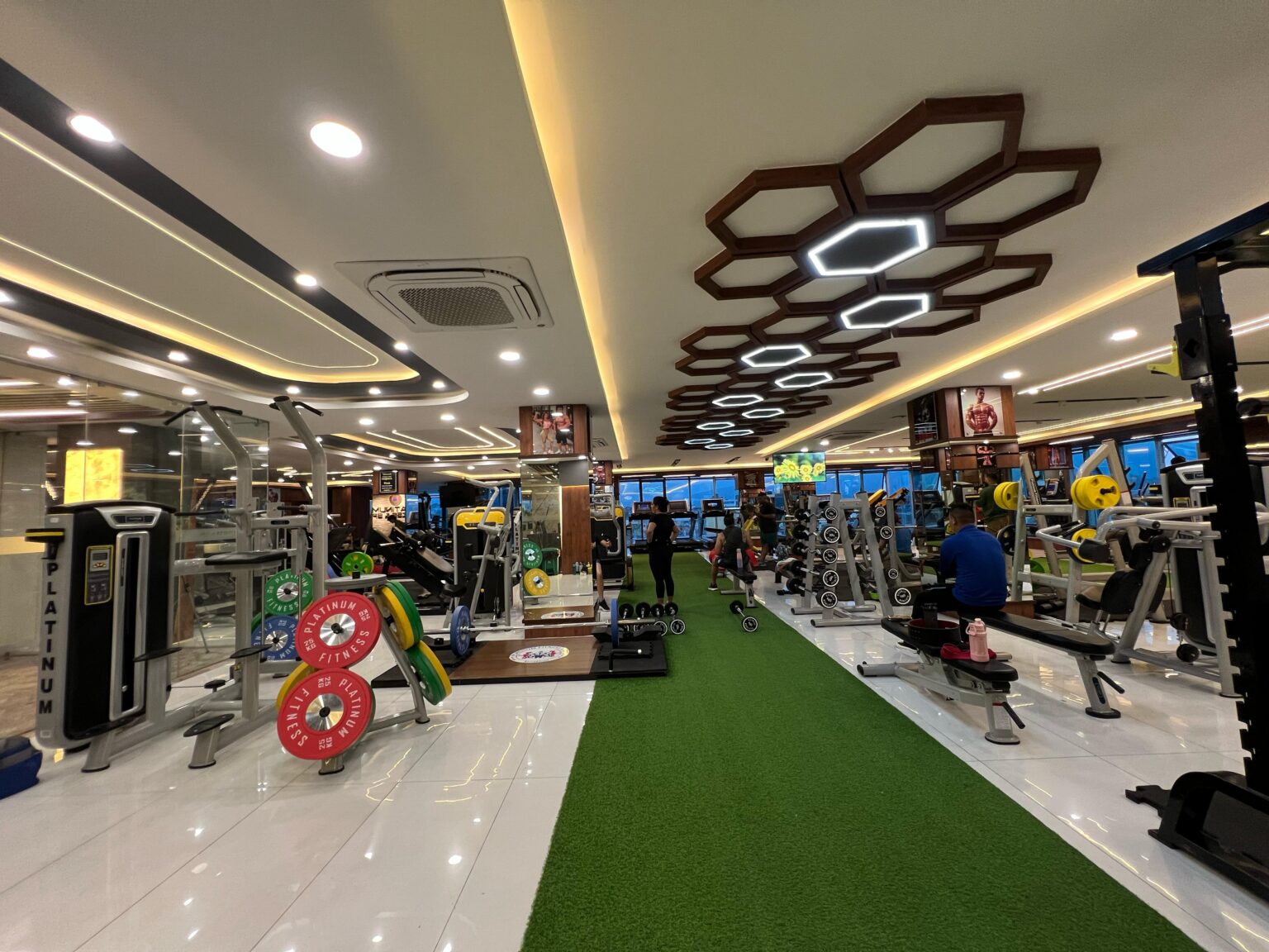 Gym at Paltinum